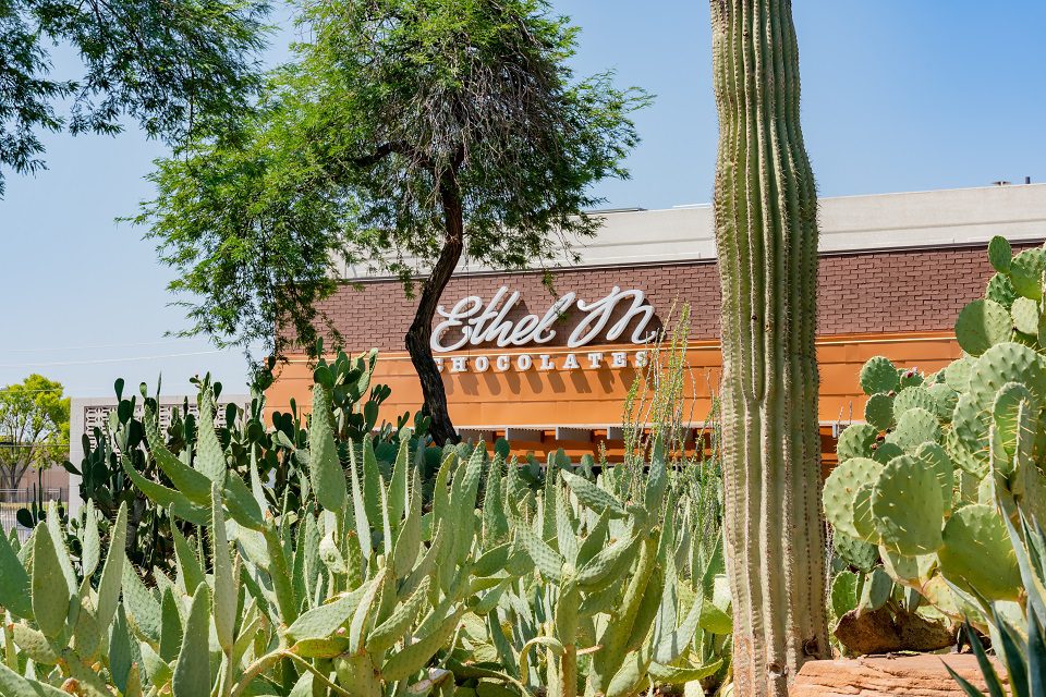 Best places to visit - Ethel M Chocolates & Cactus Garden